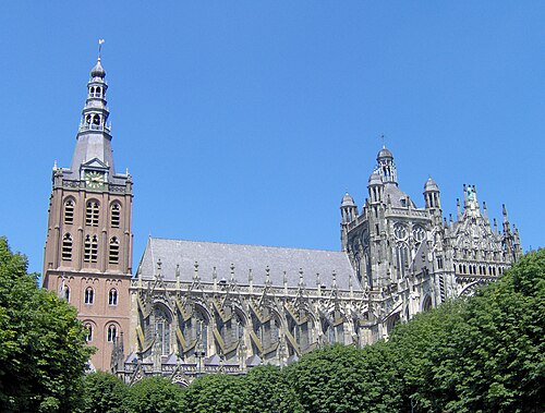 Diocese of 's-Hertogenbosch